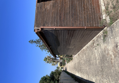 Casa Vacanze Villa Palme